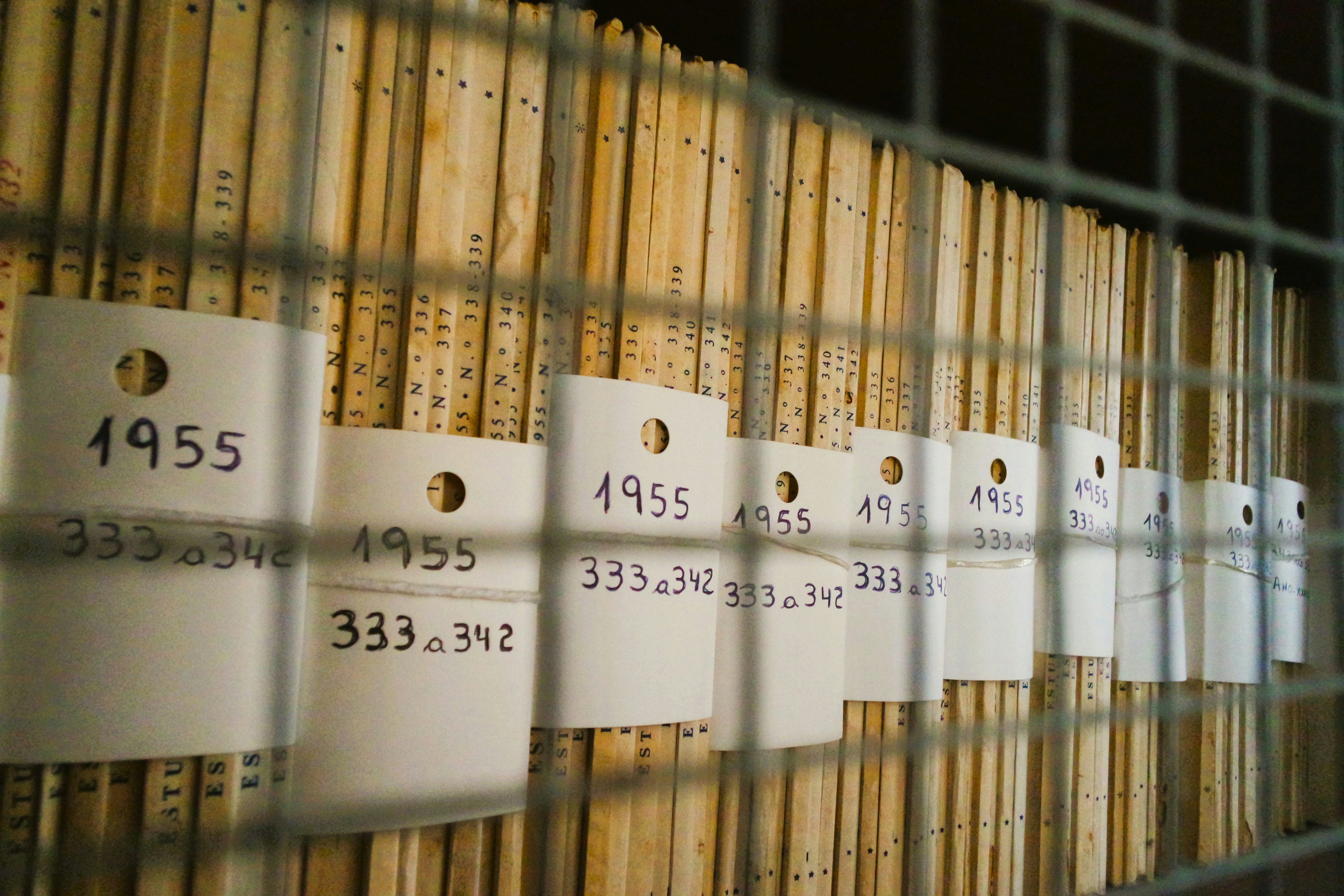 Digital archive network